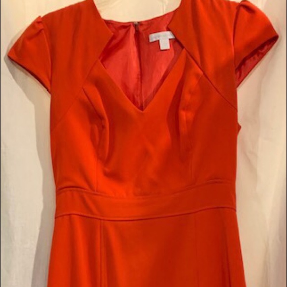 New York & Co. Orange Sheath Dress Size 2